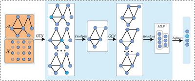 Multi-View Feature Enhancement Based on Self-Attention Mechanism Graph Convolutional Network for Autism Spectrum Disorder Diagnosis